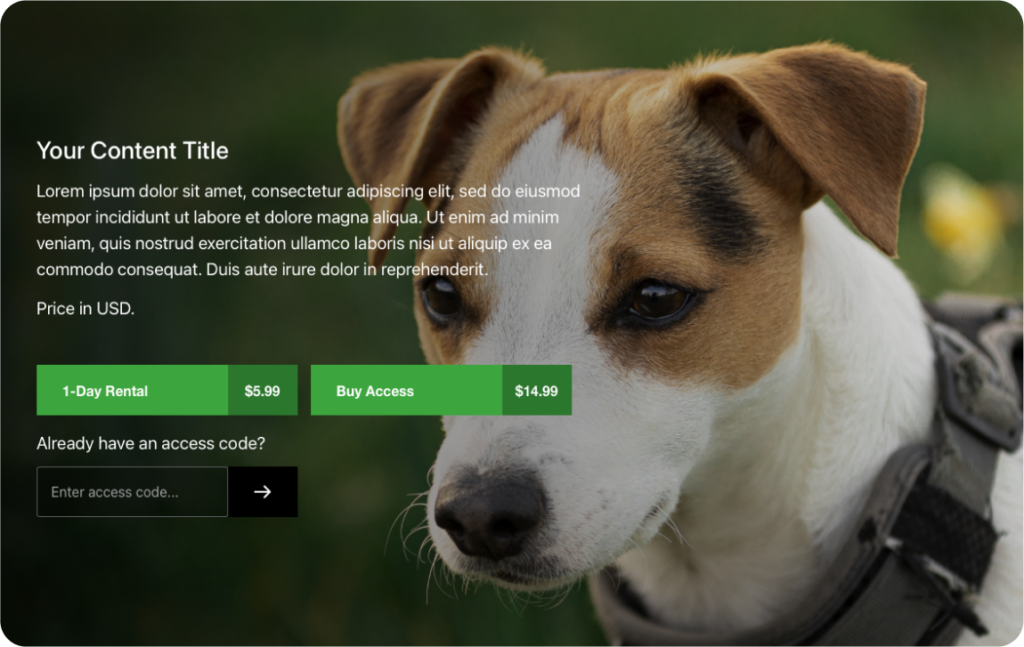 An example of Paywall Pup's accountless paywall.